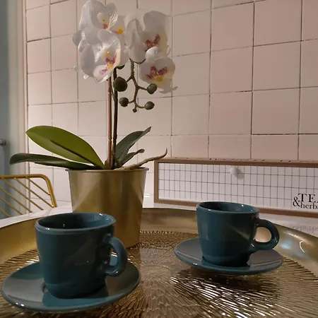 Apartment Little Picca